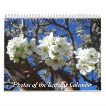 12 månaders foton från Seasons, tionde utgåvan