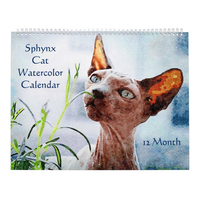 12 månaders hårlös sfärgsfärgning med sfäroxfärg kalender (Omslag)
