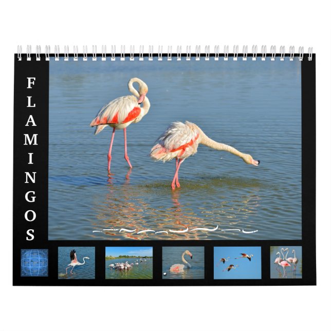 12 månaders kalender Flamingos (Omslag)