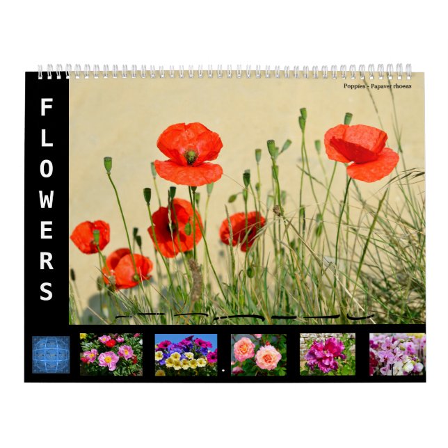 12 månaders kalender för olika blommor (Omslag)