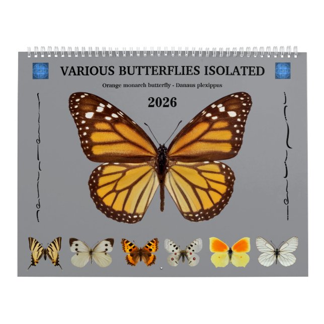 12 månaders kalender för olika fjärilar (Omslag)