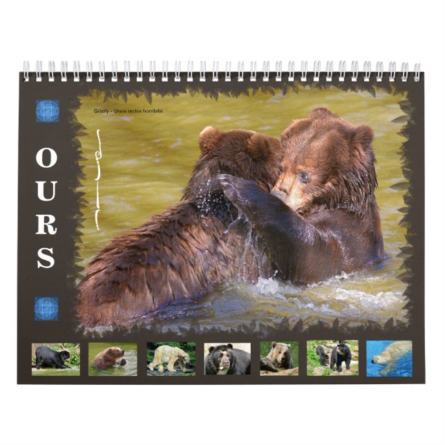 12 månaders kalender med olika björnar (Omslag)