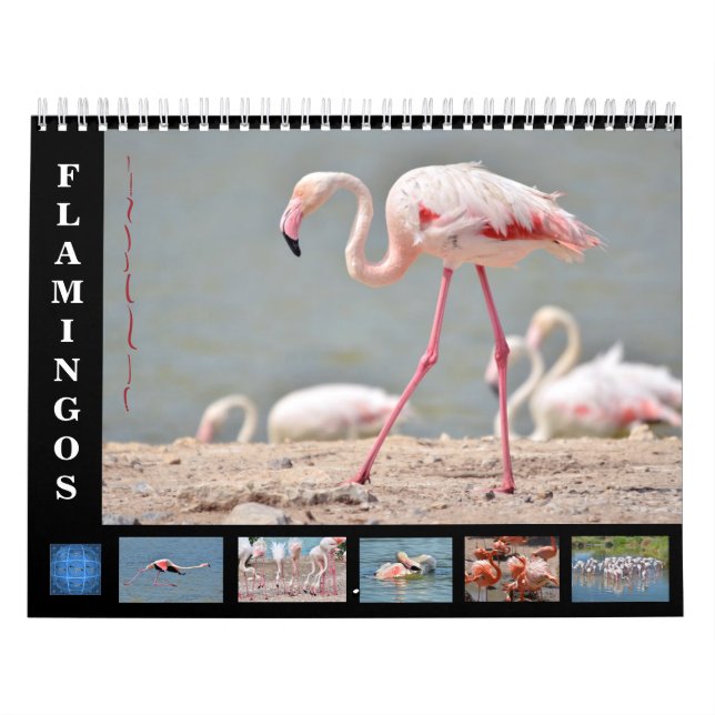 12 månaders kalenderflamingor kalender (Omslag)