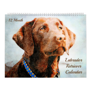 12 månaders Labrador Retriever Hundar Watercolor G Kalender