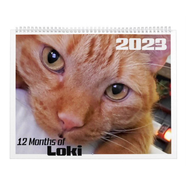 12 månaders Loki och Orange Tabby katt Kalender (Omslag)