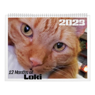 12 månaders Loki och Orange Tabby katt Kalender