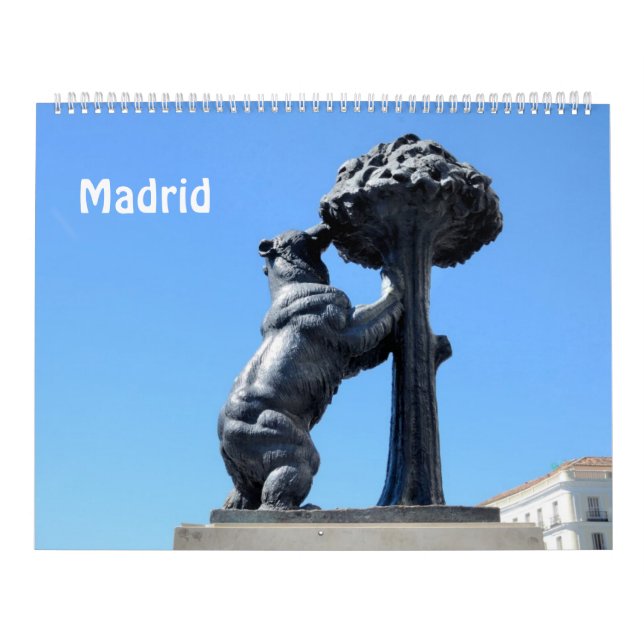 12 månaders Madrid Fotokalender Kalender (Omslag)