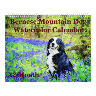 12 månaders Regal Bernese Mountain Hundar Watercol Kalender