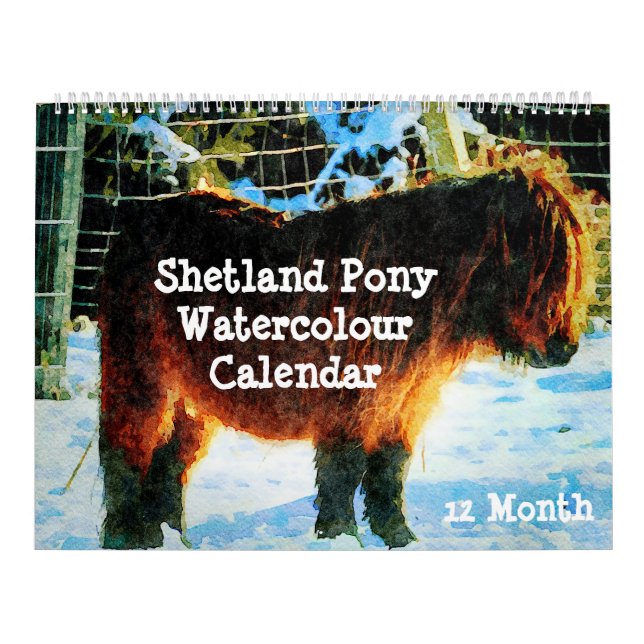 12 månaders Shetland Ponies Watercolor Painting Ar Kalender (Omslag)