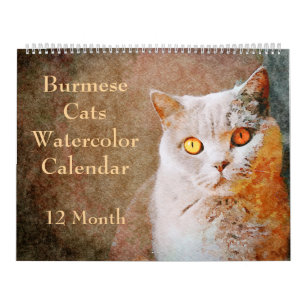 12 månaders stenande burmesiska katter - vattenfär kalender