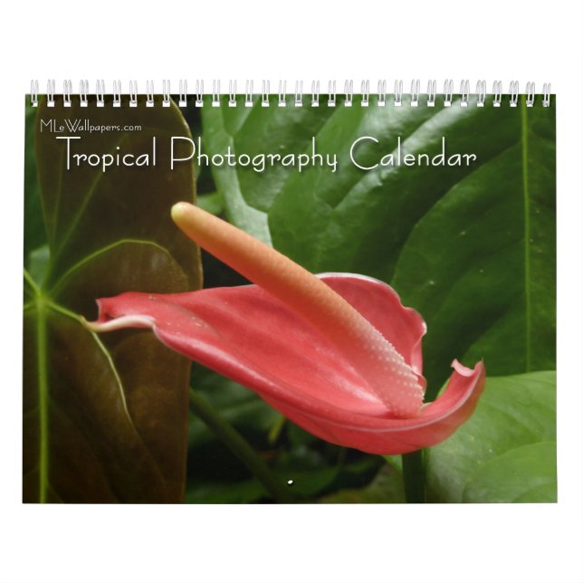 12 månaders Tropical Photography, 4:e utgåvan Kalender (Omslag)