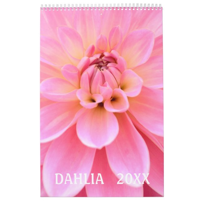 12 månaders vacker Dahlia Photo Calendar Kalender (Omslag)