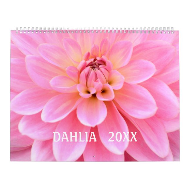 12 månaders vacker Dahlia Photo Calendar Kalender (Omslag)