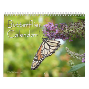 12 månaders vackra fjärilar kalender