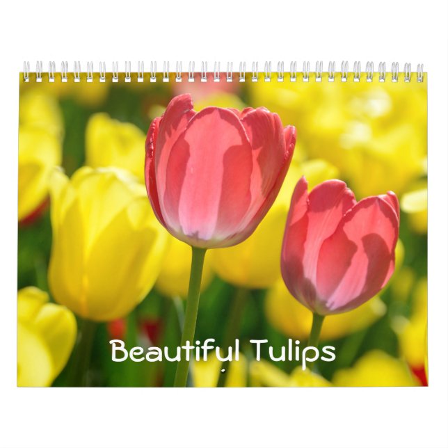 12 månaders vackra tulips (#2) kalender (Omslag)