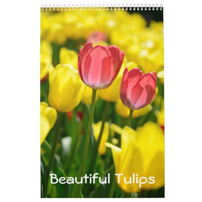 12 månaders vackra tulips (#2) kalender (Omslag)