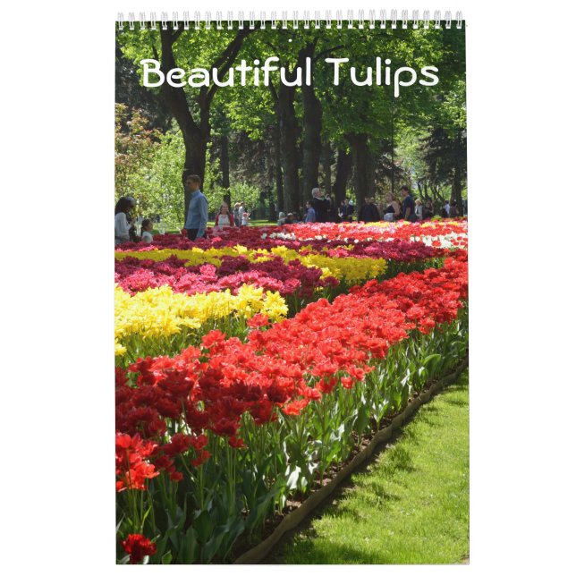 12 månaders vackra tulips kalender (Omslag)
