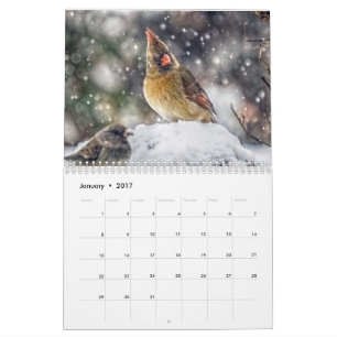 12-månaderskalender kalender