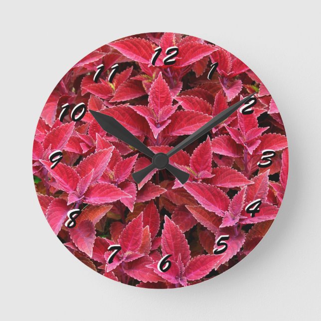 12 Nummerval att välja från Red Coleus Clock Rund Klocka (Framsida)