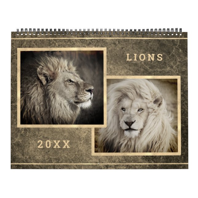 12 Snygg Lejon Photo Bilder-kalender Kalender (Omslag)