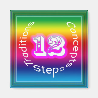 12 steg magnet