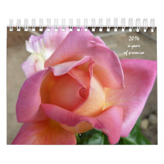 12-stegskalender kalender