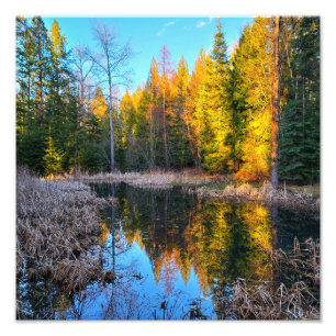 12-tums x12-tums fotoutskrift Perfekt Pond Fototryck