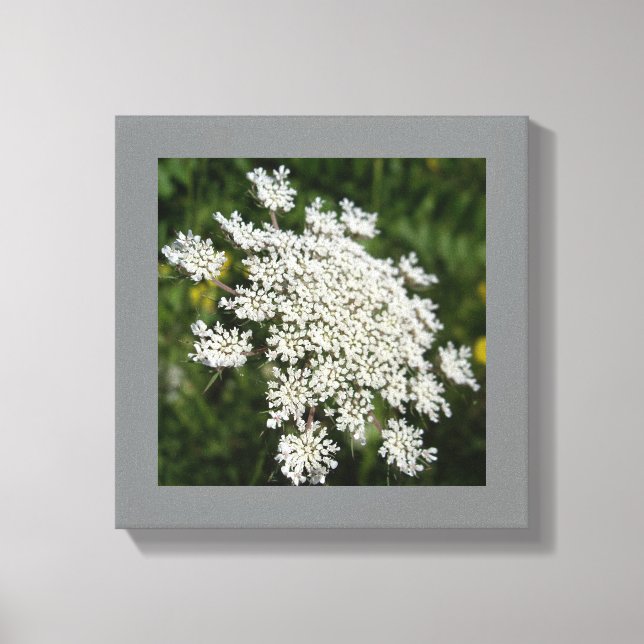 12-tums x 12-tums White Queen Ann's Snöre Photo Canvastryck (Framsida)