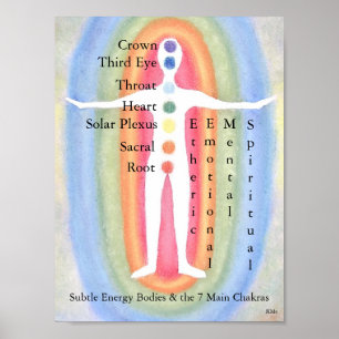 12 x 16 Poster subtle Energy Bodies/7 Chakras