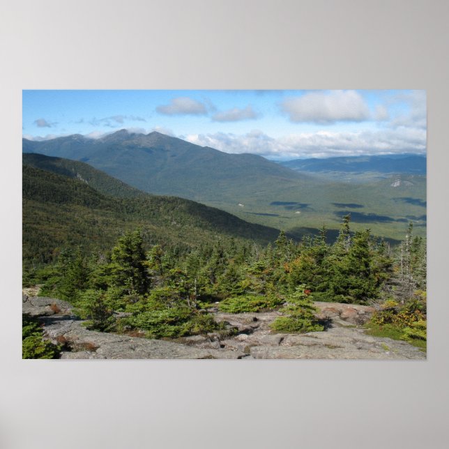12 x 18 moln som dränktes över Underbaren Skogen Poster (Framsidan)