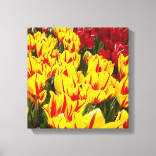 12x12 Canvas Blommig Konsttryck Gul Röda Tulpaner