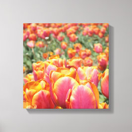 12x12 canvas konsttryck Tulpan Blommor fyrkantig c