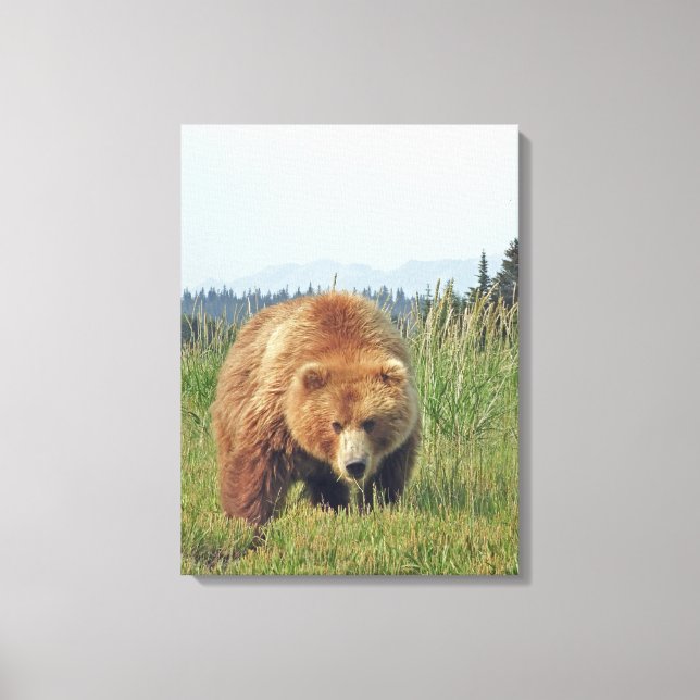 12x24 Wrapped Canvas (glans) med grizzly-björn (Framsida)
