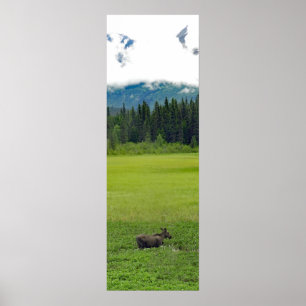 12x36 Poster Papprare (projektionsyta) av mos