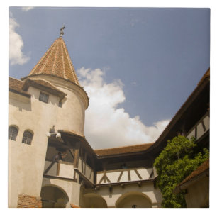 1300-tals slottet Bran (Draculas slott), Kakelplatta