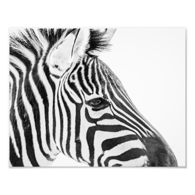 1318-Zebra Fototryck (Framsidan)