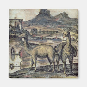 137-0627924 illustration från en sh historia av magnet