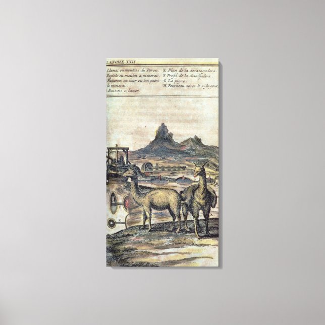 137-0627924 Illustration från Perus historia Canvastryck (Framsida)