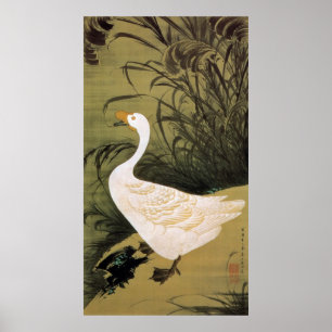 13. 芦 鵞 図, 若 Reed & Goose, Jakuchū, Japan Art Poster