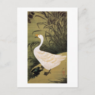 13. 芦 鵞 図, 若 Reed & Goose, Jakuchū, Japan Art Vykort