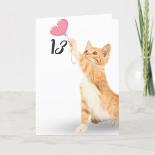 13-årsdagen tabby katt kort