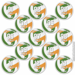 13 gröna orange teamfärger volleybollspelare klistermärken