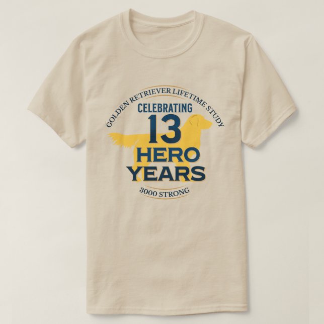 13 Hero Years - Light T Shirt (Design framsida)