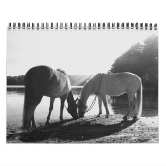 13 kalender för månad 2011