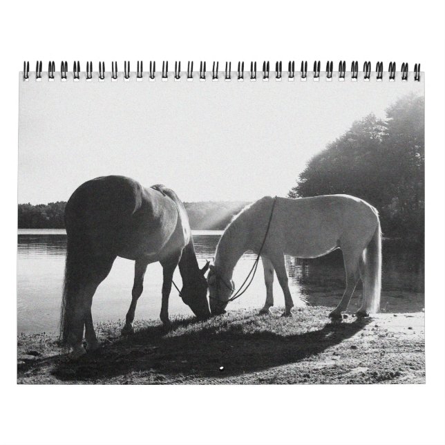 13 kalender för månad 2011 (Omslag)