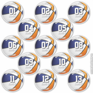13 klistermärkeuppsättning för basket blå orange t klistermärken