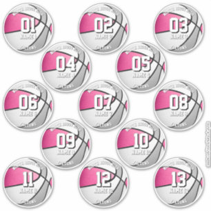 13 rosa gråa lagfärgade basketdekaler klistermärken