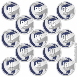 13 volleyball-spelare (blått grått-lag) färg klistermärken
