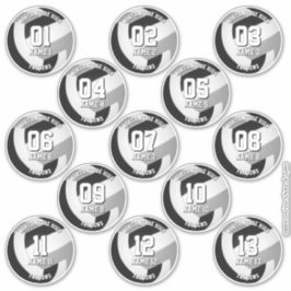 13 volleyball-spelare svart grått-lag färg klistermärken