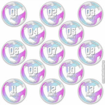 13 volleybollspelare rosa lila blue